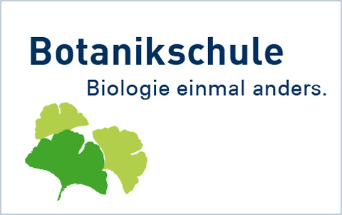 Graphik fürs Projekt Botanikschule