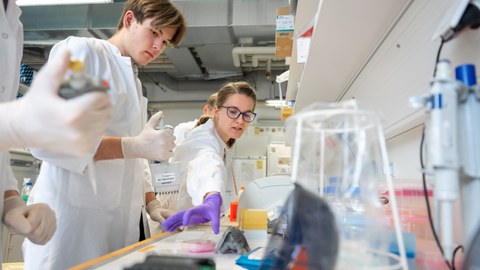 Students in lab coats stand in the laboratory. Employee in lab coat takes Petri dish. Student next to her holds a pipette and looks at the Petri dish.