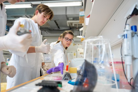 Schüler im Kittel stehen im Labor. Mitarbeiterin im Kittel nimmt Petrischale. Schüler daneben hält Pipette und schaut zur Petrischale.