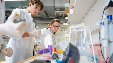Students in lab coats stand in the laboratory. Employee in lab coat takes Petri dish. Student next to her holds a pipette and looks at the Petri dish.
