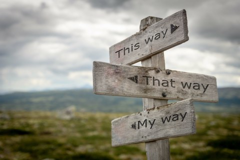Ein Wegweiser vor grüner Landschaft, der in den grauen Himmel ragt, mit drei Schildern: "This way", "That way" und "Another way".