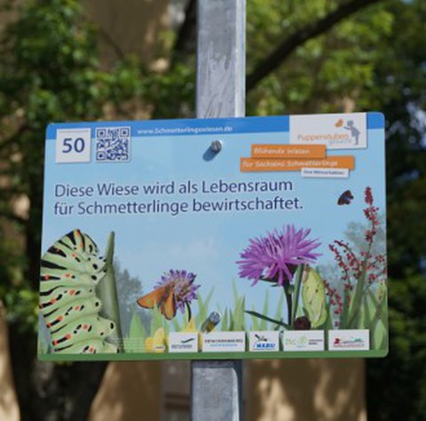 Insektenwiese_Schild