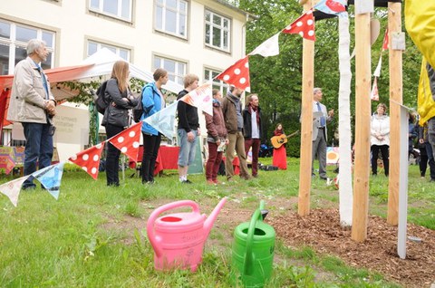 Baumpatenschaften