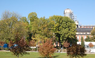 Meadow behind the HSZ with a  row of trees in front of the Beyer building