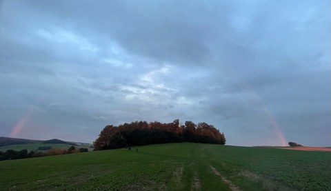 Foto, im Vordergrund ein grünes Feld, am Horizont eine dunkle Baumgruppe. Obere Hälfte des Fotos ist ein bewölkter Himmel mit einem vollständigen Regenbogen.