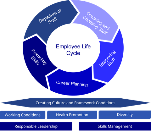Das Bild verdeutlicht die Phasen des BEschäftigungszyklus.