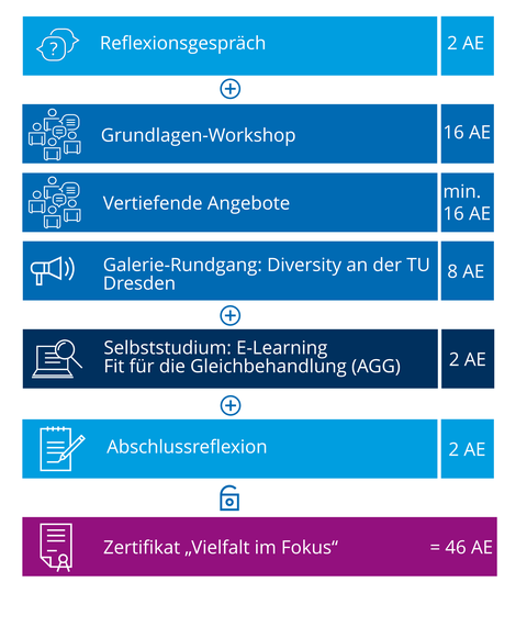 Dargestellt ist der Aufbau des Basismoduls zum Diversity-Zertifikat.