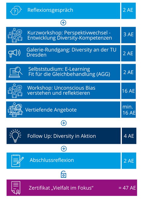 Dargestellt ist der Aufbau des Diversity-Zertifikats.