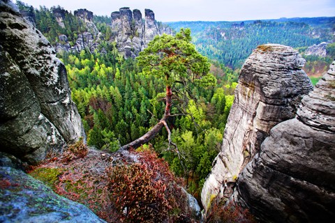 Foto der Sächsischen Schweiz mit Felsformationen