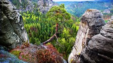 Foto der Sächsischen Schweiz mit Felsformationen