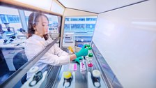 Foto aus dem Biolabor, eine Wissenschaftllerin beim Kultivieren embryonaler Maus-Stammzellen