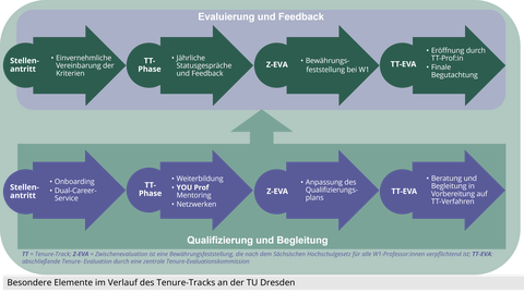 Overview of the typical sequence of the tenure evaluation process