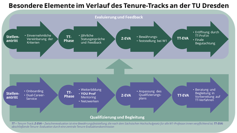 Das Tenure-Track-System der TU Dresden ist auf zwei komplementären Ebenen verankert
