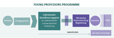 Young Professors Programme