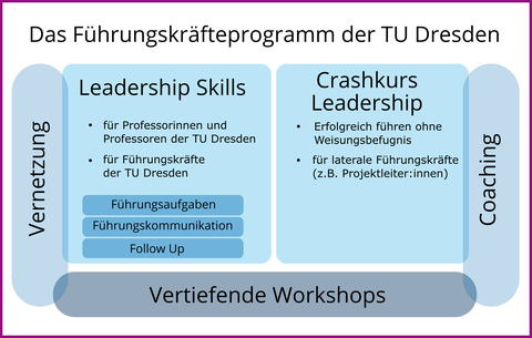 Übersicht über den Aufbau des Führungskräfteprogramms der TU Dresden, grafische Darstellung des darunterliegenden Fließtextes