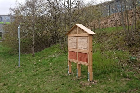 Das Foto zeigt ein neues Insektenhotel am LZR. 