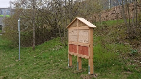 Das Foto zeigt ein neues Insektenhotel am LZR. 
