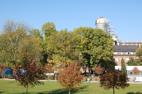 Meadow behind the HSZ with a  row of trees in front of the Beyer building