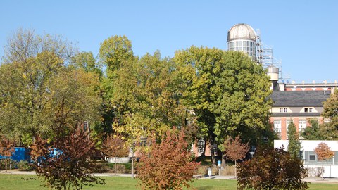 Meadow behind the HSZ with a  row of trees in front of the Beyer building