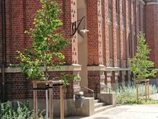 zwei Jungbäume stehen am Eingang zum Gebäude