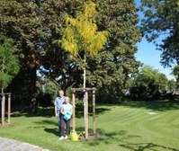 zwei Personen stehen vor einem neu gepflanzten Baum, Gießkanne steht vor Ihnen