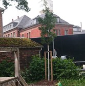 Jungbaum am Spielplatzrand, Gebäude im HIntergrund