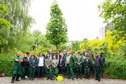 Mitglieder des Team von 3B Dienstleistung Dresden GmbH vor dem Projekt Patenbaum