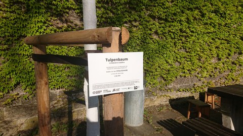 weißes Schild mit text an Baumholzpfahl
