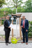 Baumpate Ostsächsische Sparkasse Dresden