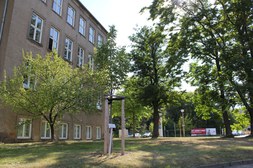Professor Hertel