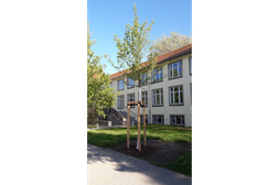 Patenbaum Prof. Müller-Steinhagen vor Landgraf-Bau