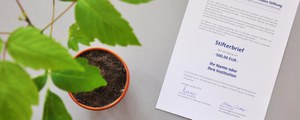 kleiner Baum im Pflanztopf steht neben der Stifterurkunde für Baumptenschaften