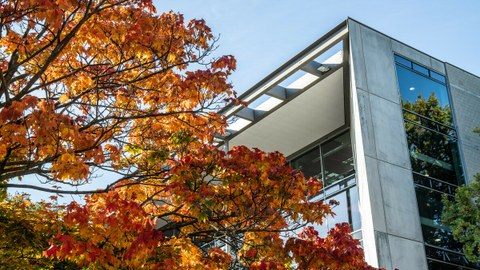 Ahorn mit Herbstlaub vor dem HSZ Gebäude