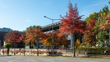Bäume mit Herbstfärbung vor dem HSZ