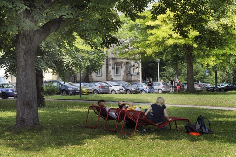 Menschen sitzen unter großen Bäumen im Schatten vor dem Potthoffbau