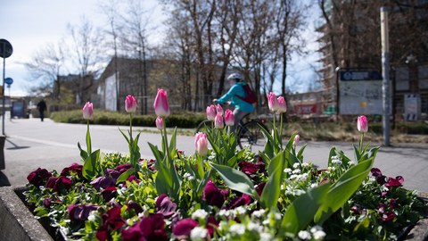 Pflanzkübel am Fritz Förster Platz