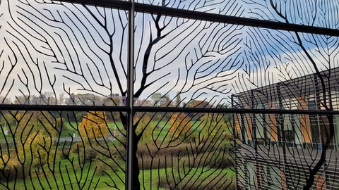 Fassade mit Glas