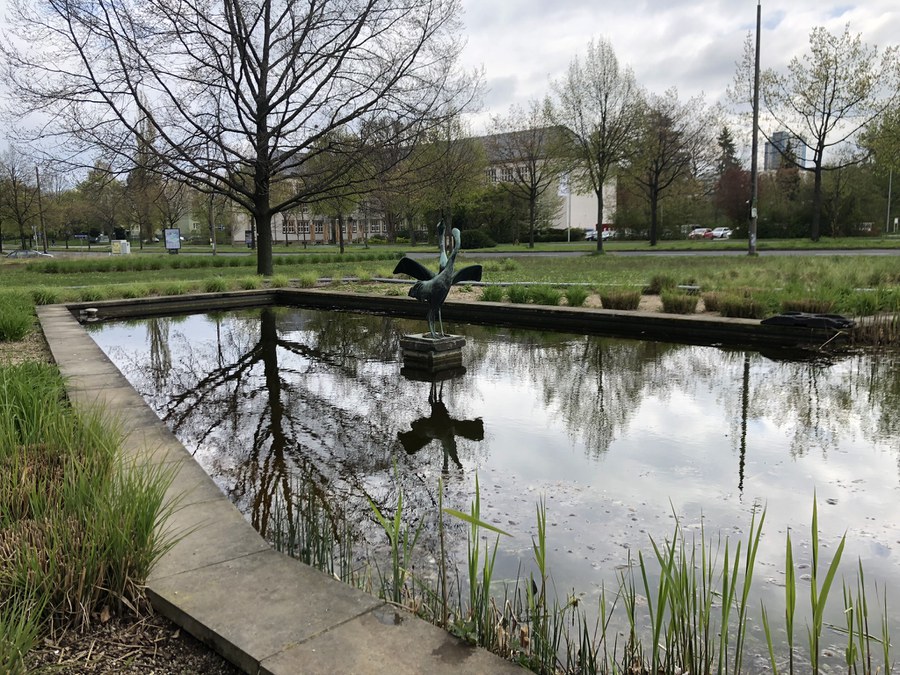 Lebensraum Teich — TU Dresden — TU Dresden