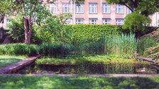 Teich im Senk-Garten, Spiegelungen