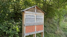 Insektenhotel steht vor Bäumen