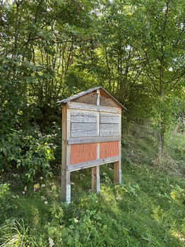 Insektenhotel steht vor Bäumen