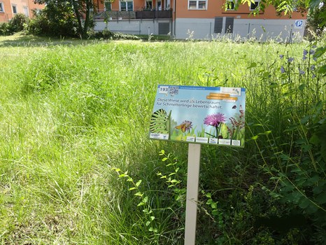 Schild zur Kennzeichnung von Blühwiesen