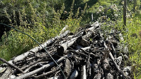 liegendes Totholz, Äste und kleine Stämme als Holzstapel angelegt
