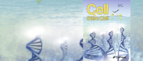 Cover Cell Stem Cell