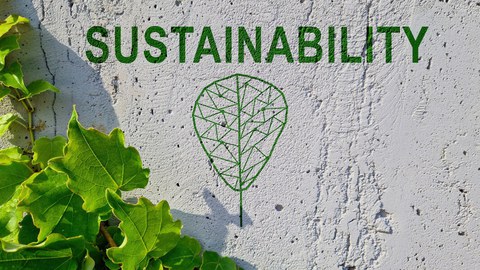 Auf Betonwand steht das Wort "Sustainability" in grünen Buchstaben und entlang der Wand wachsen grüne Zweige