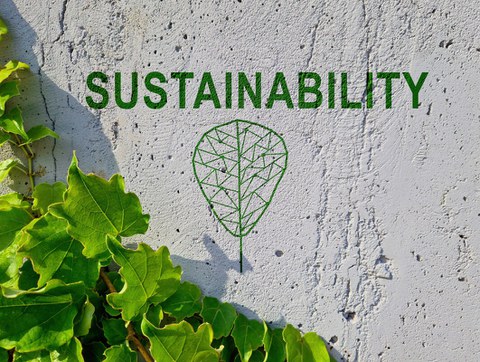 Auf Betonwand steht das Wort "Sustainability" in grünen Buchstaben und entlang der Wand wachsen grüne Zweige