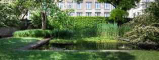 Das Foto zeigt einen Garten mit einem rechteckigen Teich. Dieser ist teilweise mit Pflanzen überwachsen. Im Hintergrund stehen Bäume und eine Mauer, die ebenfalls von Pflanzen überwachsen ist.