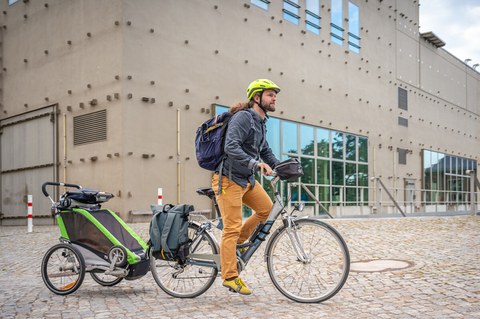 Photo of a young father on a bicycle, riding across the TU campus with a child in the back of a bicycle trailer. 