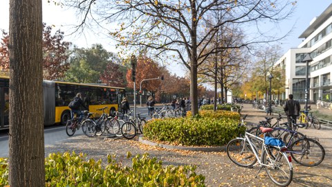 Mehrere Verkehrsteilnehmende mit Rad, Bus und zu Fuß sind am Zelleschen Weg unterwegs.