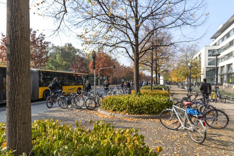Mehrere Verkehrsteilnehmende mit Rad, Bus und zu Fuß sind am Zelleschen Weg unterwegs.